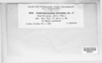 Gymnosporangium juniperi-virginianae image